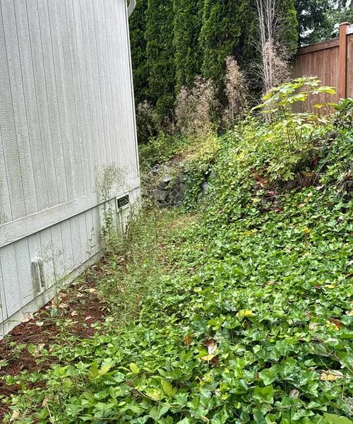 Landscaping Maintenance in Ballard 